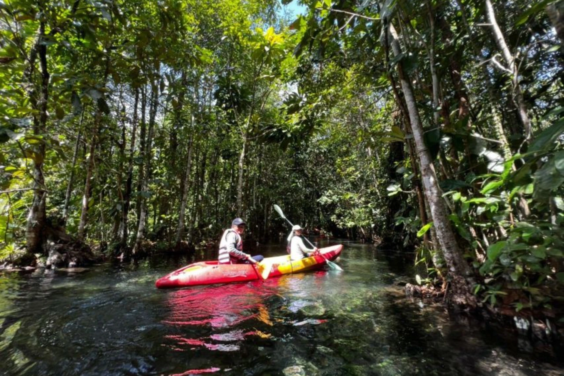 Khlong Nam Sai Lagoon kayaking in Krabi