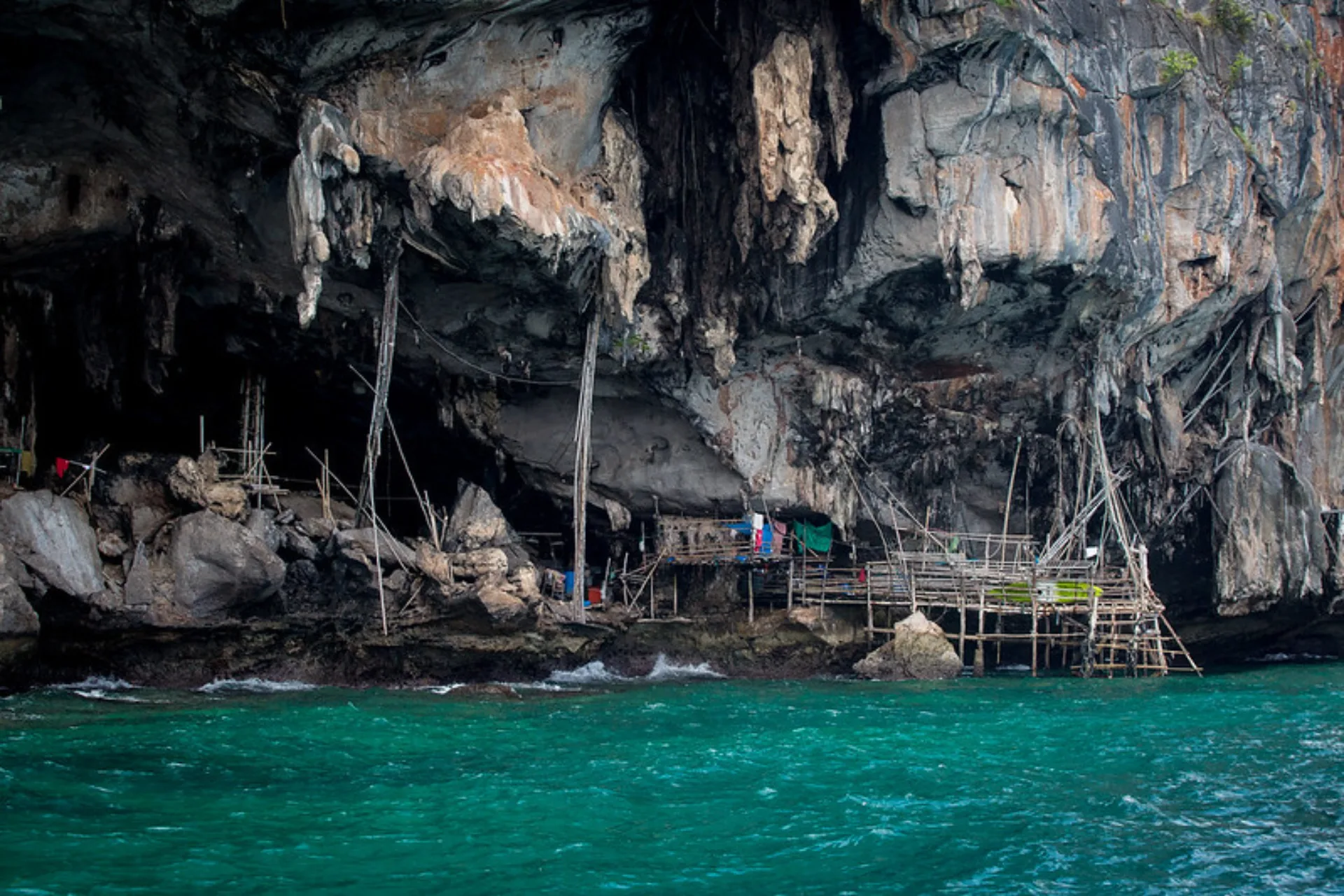 Viking Cave and Phi Phi long-tail boat tour