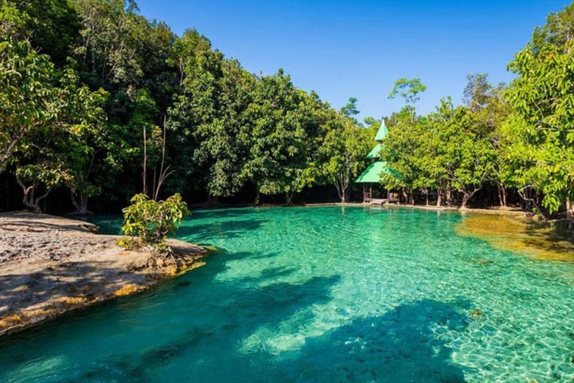Hot springs in Krabi jungle