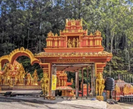 Nuwara Eliya, Ella, Mirissa Sri Lanka image 5