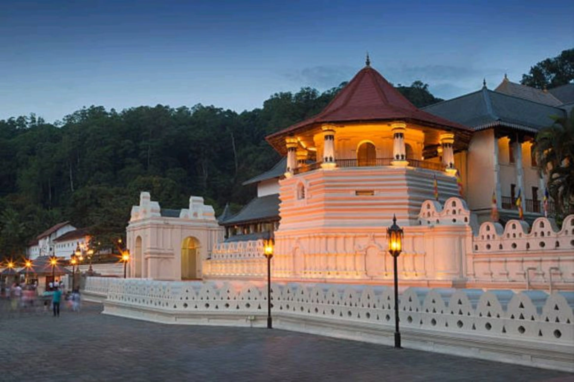 Kandy, Yala, Mirissa day 1