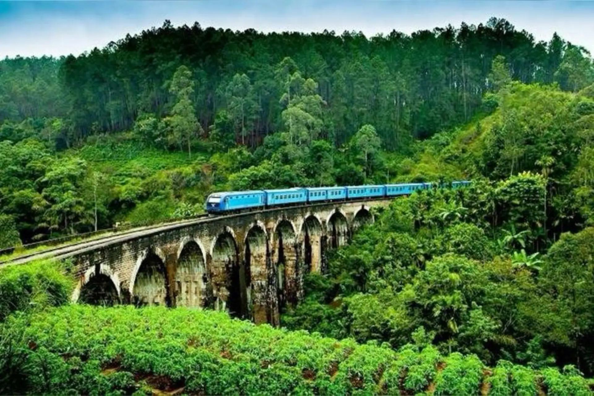 Kandy, Nuwara Eliya, Sigiriya & More Sri Lanka package