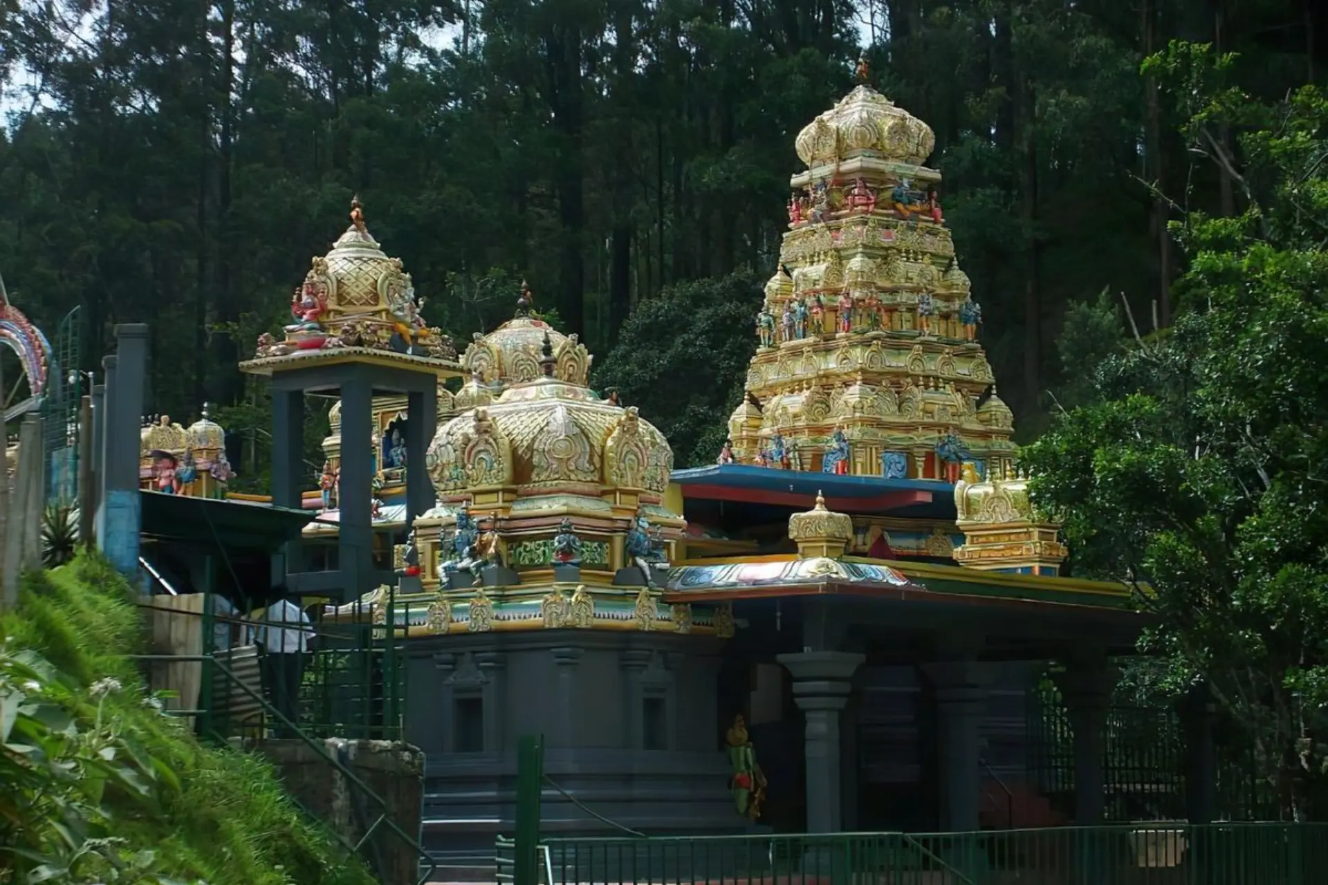 Colombo, Nuwara Eliya, Bentota Sri Lanka image 5