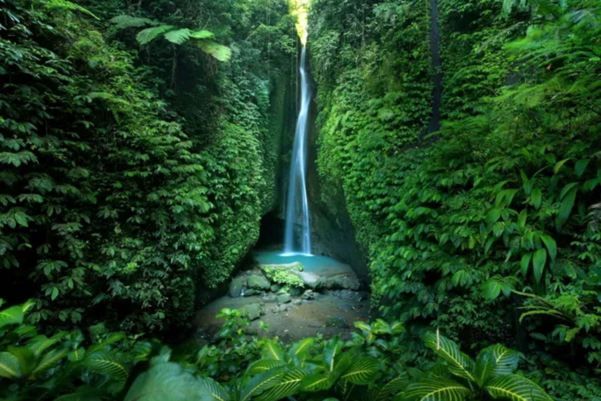 Ubud, Nusa Dua Bali image 2